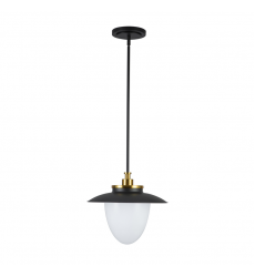 Dahlia 1 Light Pendant 15