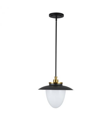 Dahlia 1 Light Pendant 15