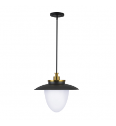 Dahlia 3 Light Pendant 20