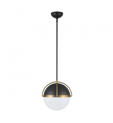 Dahlia 1 Light Pendant 15.4