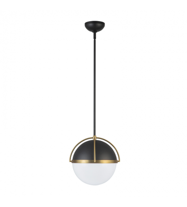 Dahlia 1 Light Pendant 15.4