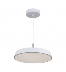  Lexi Collection 1-Light 12
