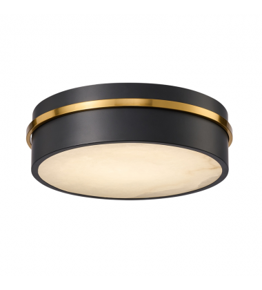 Dax Integrated LED Flush Mount 12