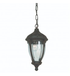  Anapolis AC8575OB Outdoor Ceiling Light - Artcraft