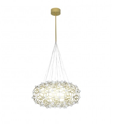  DLS01C31G - Bethel International