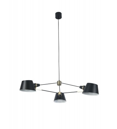  DLS11C36B - Bethel International