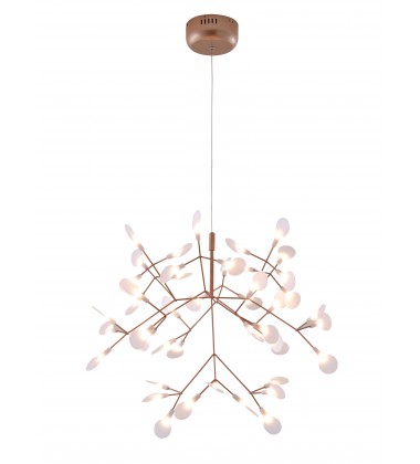  DLS61C28CO - Bethel International