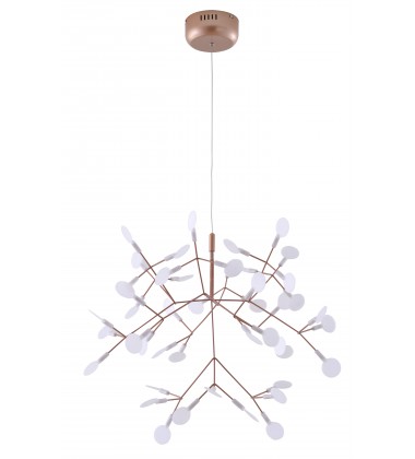  DLS61C28CO - Bethel International