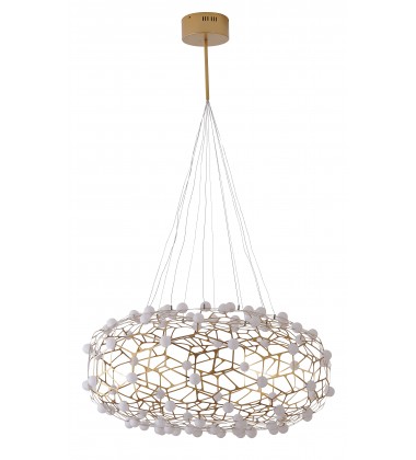  FIT06C31G - Bethel International