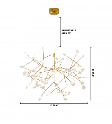  FL02C38G - Bethel International