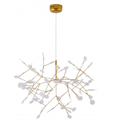  FL02C38G - Bethel International