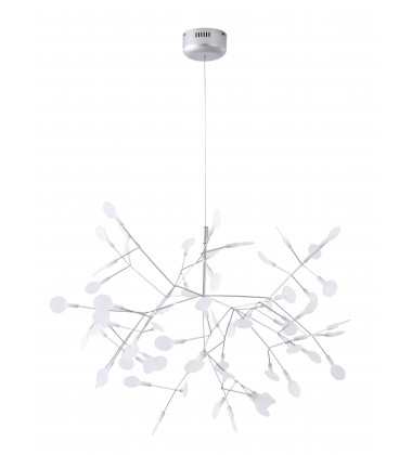  FL02C38SL - Bethel International