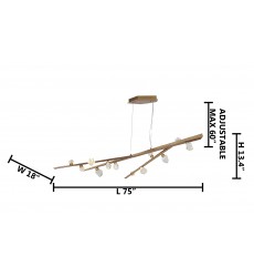 LIGSRCUS - Bethel International  LIGSRCUS - Bethel International