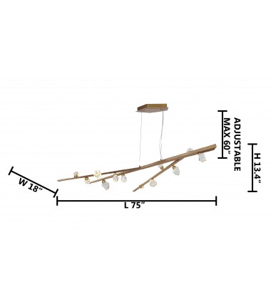  LIGSRCUS - Bethel International
