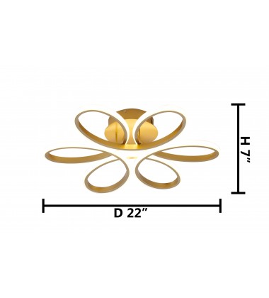  OC11F22BR - Bethel International