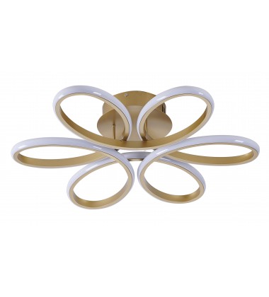  OC11F22BR - Bethel International