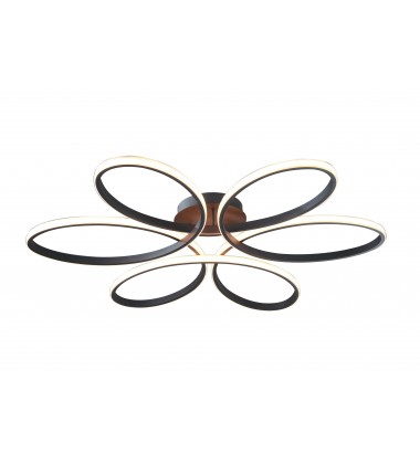  OC11F22SC - Bethel International