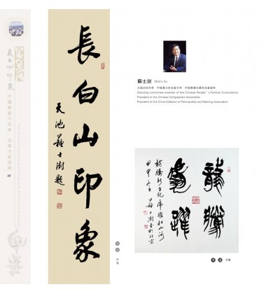 Chinese Calligraphy - Shizhu Su