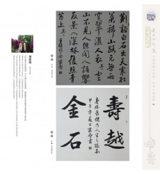 Chinese Calligraphy - Jiaqi Zhang