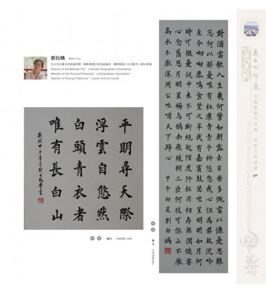 Chinese Calligraphy - Baiou Liu