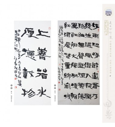 Chinese Calligraphy - Shui Jiang
