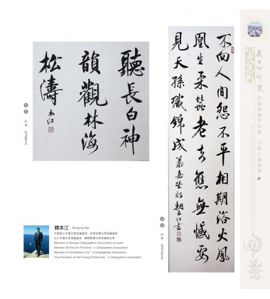 Chinese Calligraphy - Benjiang Wei