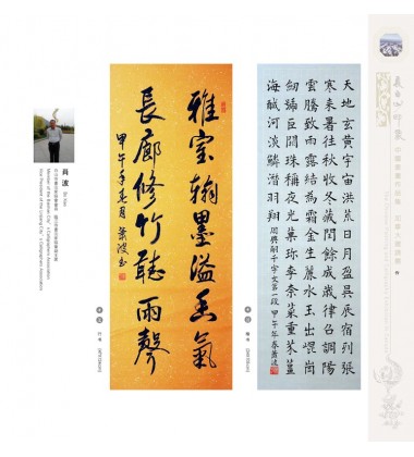 Chinese Calligraphy - Bo Xiao