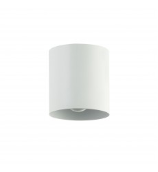1LT Flush Mount, MW-(TRN-41FH-MW)-Dainolite  1LT Flush Mount, MW-(TRN-41FH-MW)-Dainolite