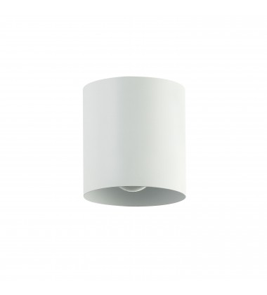 1LT Flush Mount, MW-(TRN-41FH-MW)-Dainolite  1LT Flush Mount, MW-(TRN-41FH-MW)-Dainolite
