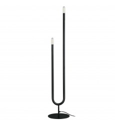  2LT Incandescent Floor Lamp, MB-(WAN-602F-MB)-Dainolite