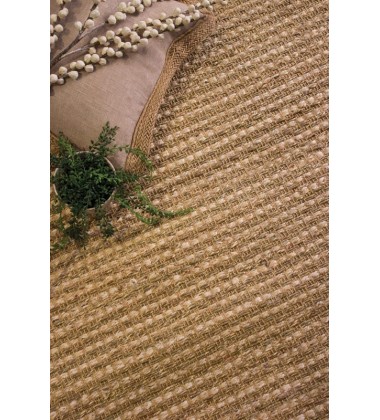 Kalora - 2x4 Naturals Beige Intricate Weave Rug (SH121 60110)