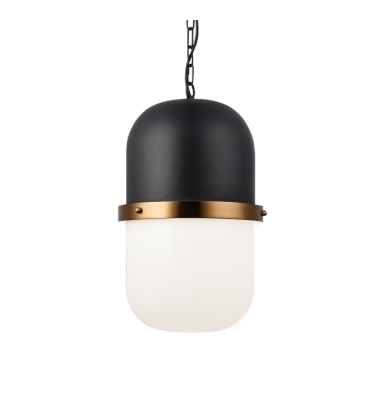  60 Watt Medium E26  Matte Black Metal Pendant (C73803MBOP) - Matteo