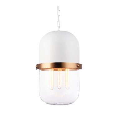  60 Watt Medium E26  White Metal Pendant (C73803WHCL) - Matteo