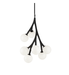  40 Watt Candelabra E12  Black Metal Chandelier (C81507BKOP) - Matteo