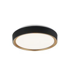  1x60W Medium Base-E26 120V Aged Gold Brass + Matte Black Metal Ceiling Mount (M10601BKGL) - Matteo