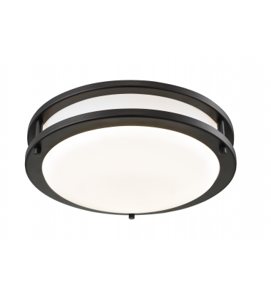 IGO Ceiling Mount(M11001BZ)-Matteo