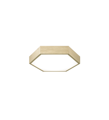  20 Watt LED Oxidized Gold Metal Flush Mounts (M12611OG) - Matteo