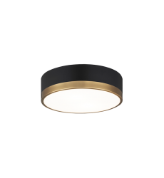 60 Watt Medium E26  Black & Aged Gold Glass Metal Ceiling Mount (M14302BKAG) - Matteo
