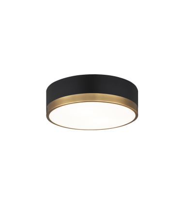  60 Watt Medium E26  Black & Aged Gold Glass Metal Ceiling Mount (M14302BKAG) - Matteo