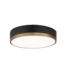  60 Watt Medium E26  Black & Aged Gold Brass Metal Ceiling Mount (M14303BKAG) - Matteo