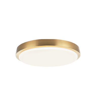  30W LED Matte Black Metal Flush Mounts (M16115AG) - Matteo