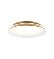 DAHLIA Wall Sconce(M19118AG)-Matteo