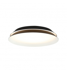 DAHLIA Wall Sconce(M19118MB)-Matteo