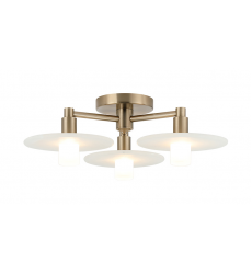 MONUMENT Ceiling Mount(X42603CG)-Matteo