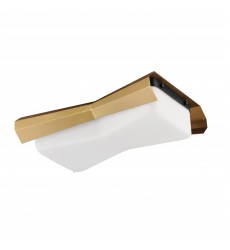  Rizzo 2-Light Flush Mount-(10819SWBKAB)-Maxim