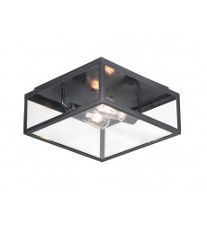Catalina 2-Light Outdoor Ceiling Mount-(30098CLDBZ)-Maxim  Catalina 2-Light Outdoor Ceiling Mount-(30098CLDBZ)-Maxim