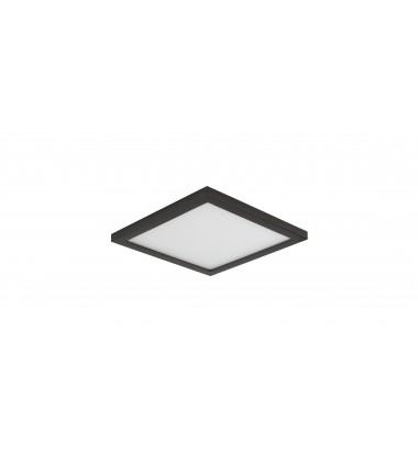  Wafer 5