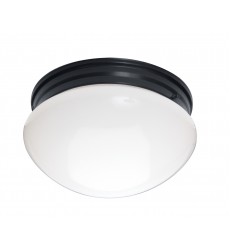  Essentials 2-Light Flush Mount-(5881WTBK)-Maxim