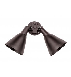  Spots 2-Light Outdoor Wall Mount-(92006TB)-Maxim