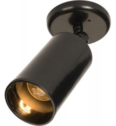  Spots 1-Light Can Wall/Flush Mount-(92010BK)-Maxim